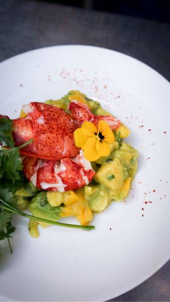 Les délices de la Méditerranée